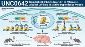 UNC0642 from Selleck Inhibits G9a/GLP to Attenuate Alcohol Drinking in Murine Dependence Models