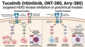Tucatinib (Irbinitinib, ONT-380, Arry-380) targeted HER2 kinase inhibition in preclinical models