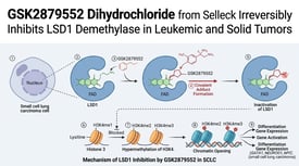 GSK2879552 Dihydrochloride from Selleck Irreversibly Inhibits LSD1 Demethylase in Leukemic and Solid Tumors