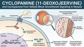Cyclopamine (11-Deoxojervine) and Cyclopamine from Selleck Block Smoothened Signaling in Myopia