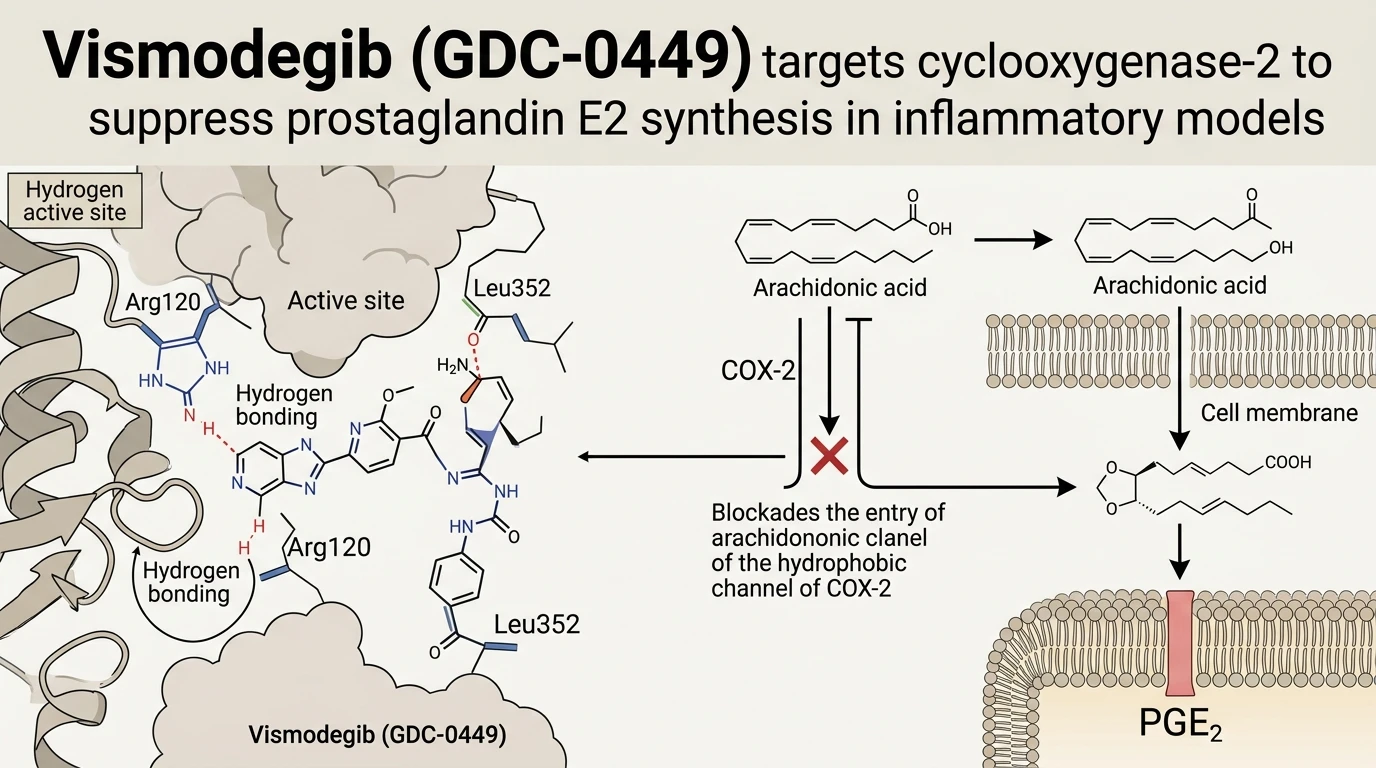 Schematic diagram of cyclooxygenase-2 PGE2 signaling pathway in RBL-2H3 cells showing PGE2 inhibition
